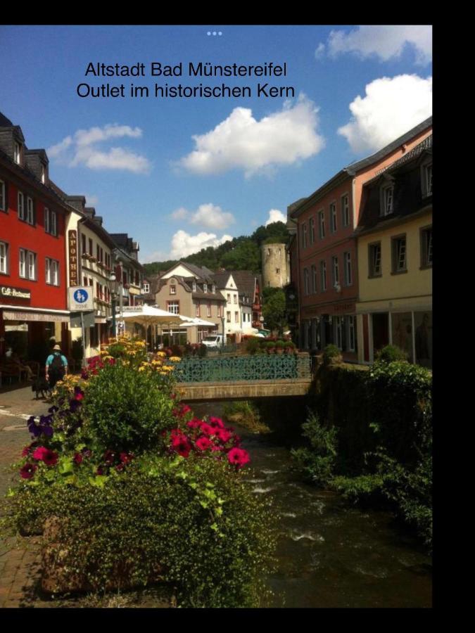 Wohlfuehloase Am Michelsberg Apartamento Bad Muenstereifel Exterior foto